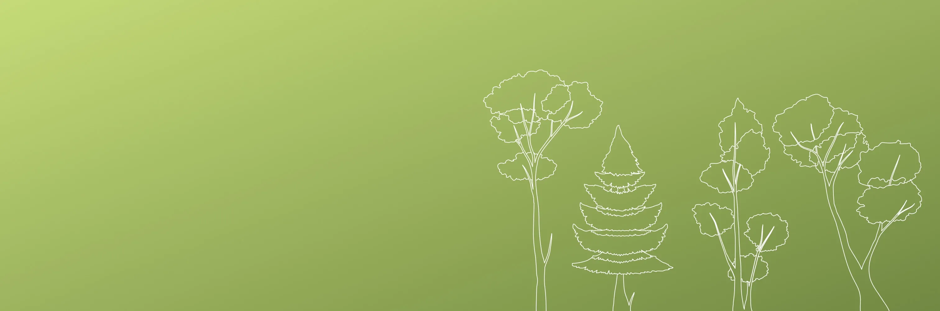 intro-image